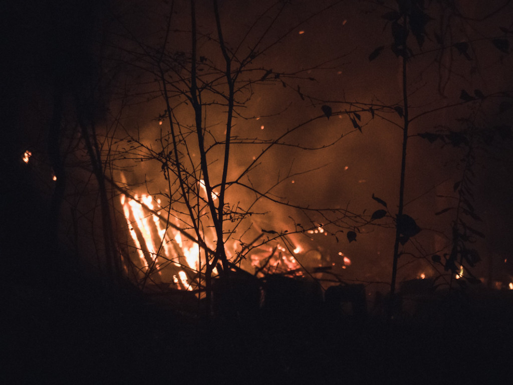 Бездомные устроили пожар в Голосеевском районе Киева (ФОТО, ВИДЕО)