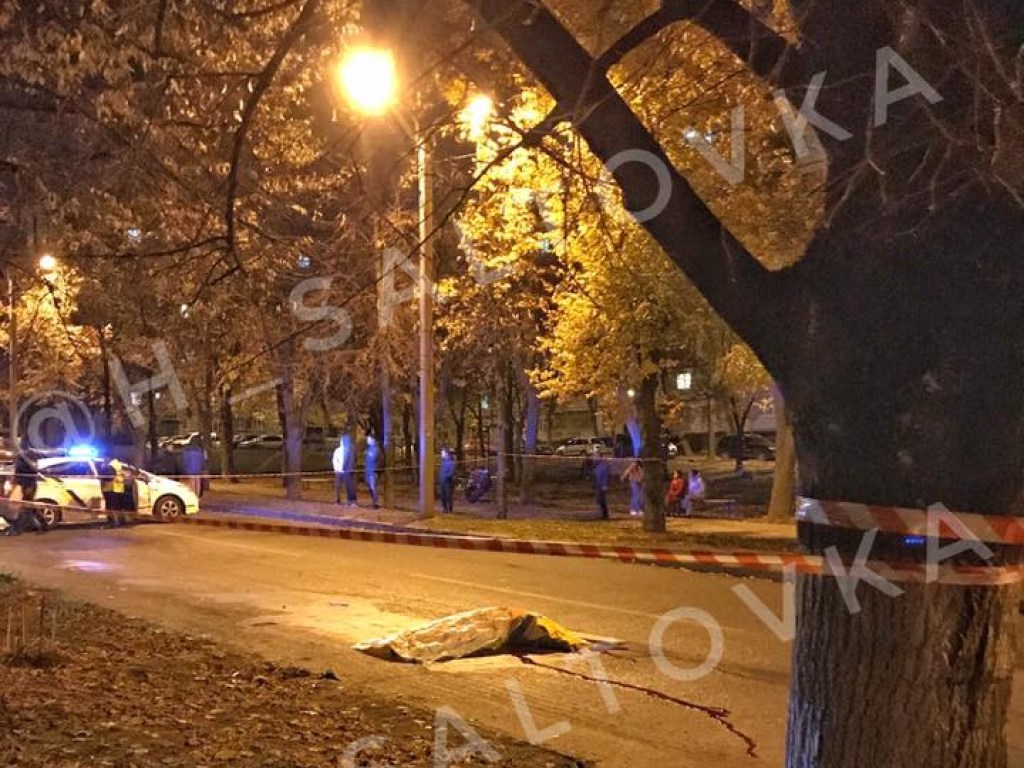 В Харькове мужчина погиб в драке из-за собаки (ФОТО)