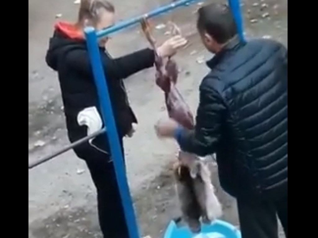 В Кременчуге взрослые сдирали шкуру с кролика на детской площадке: дети снимали процесс на телефон (ВИДЕО)