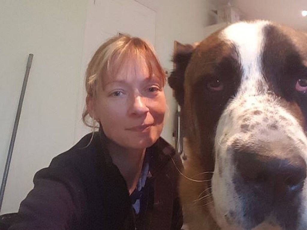 В Великобритании пес умер от сердечного приступа во время праздника фейерверков (ФОТО)