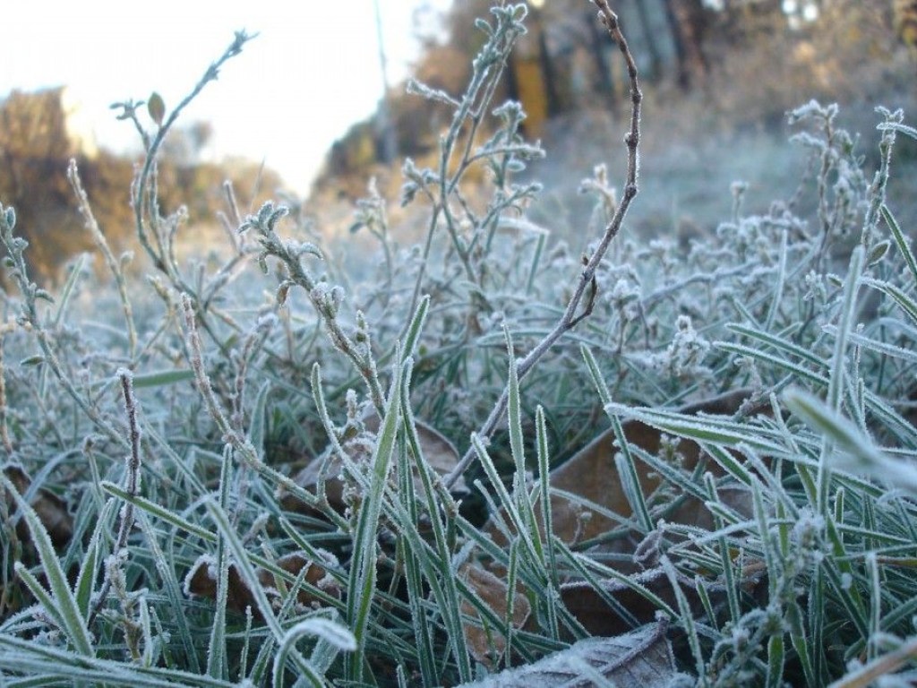 Климатологи зафиксировали в столице первые заморозки
