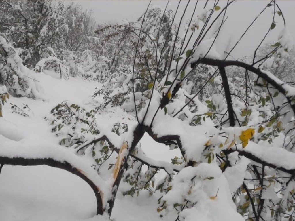 Мощный снегопад в России: около 40 фур застряли на трассе «Тещин язык»