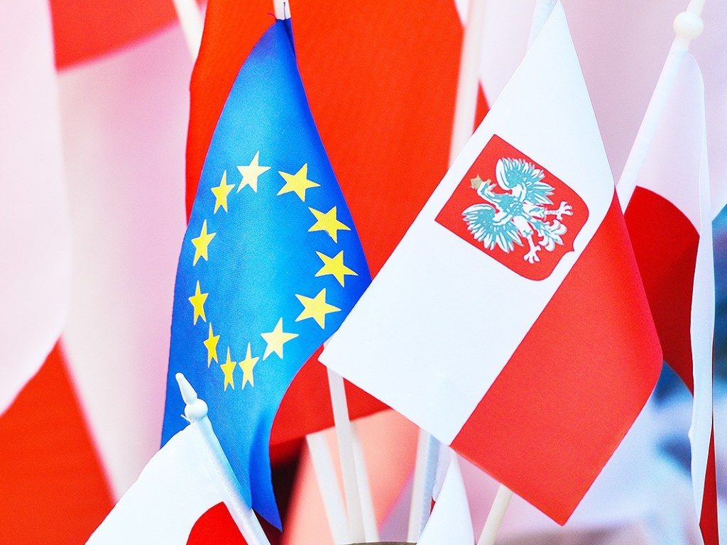 Открытый процесс принуждения Польши к исполнению правил ЕС нужен для «показательной порки» &#8212; эксперт