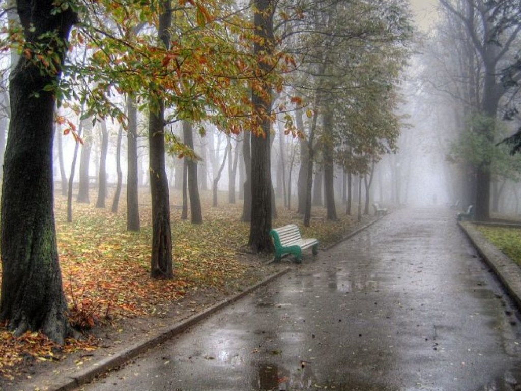 Синоптик: 12 ноября в Украине будет холодно, сыро и ветрено (КАРТЫ)