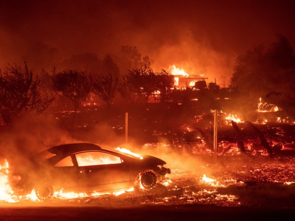 Лесные пожары в Калифорнии: погиб 31 человек, 228 пропали без вести