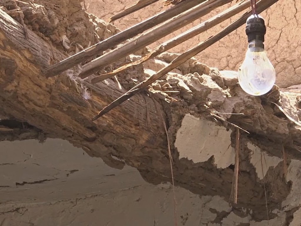 Голодные термиты съели целую деревню в Египте (ВИДЕО)