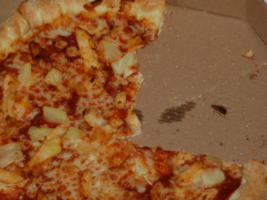 В одном из столичных заведений в пицце нашли насекомое (ФОТО)