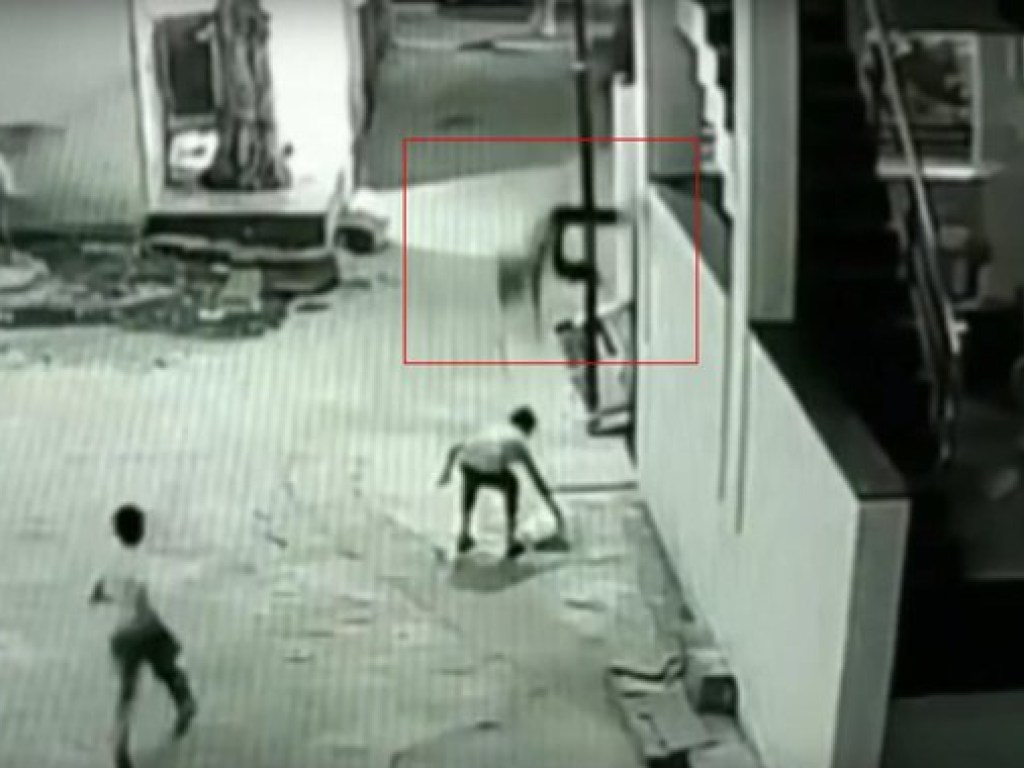 В Индии школьник упал на товарища с 12-метровой высоты (ВИДЕО)