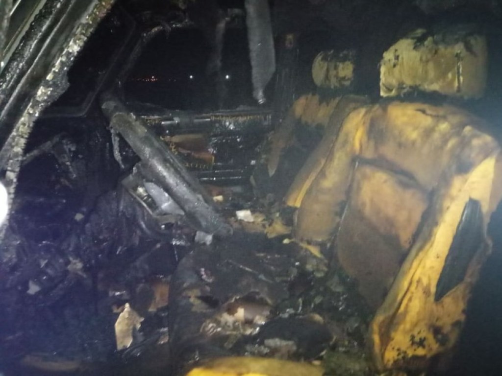 В Николаевской области на трассе загорелся автомобиль (ФОТО)
