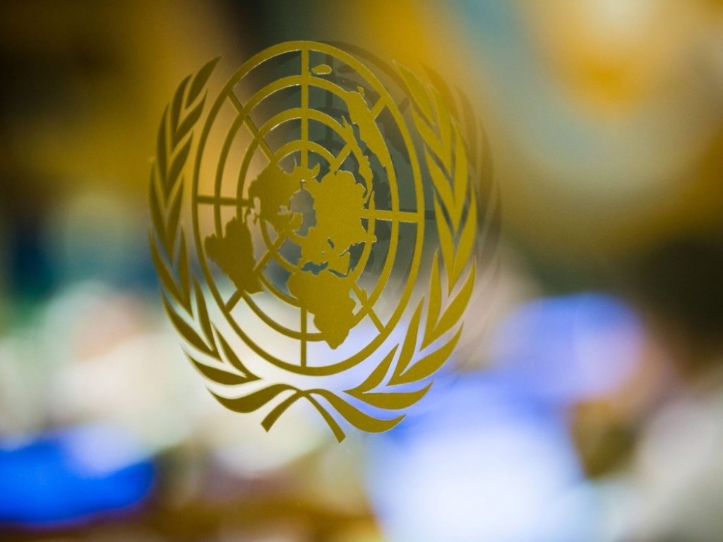 Резолюция ООН по Крыму: 23 страны проголосовали против документа (СПИСОК)