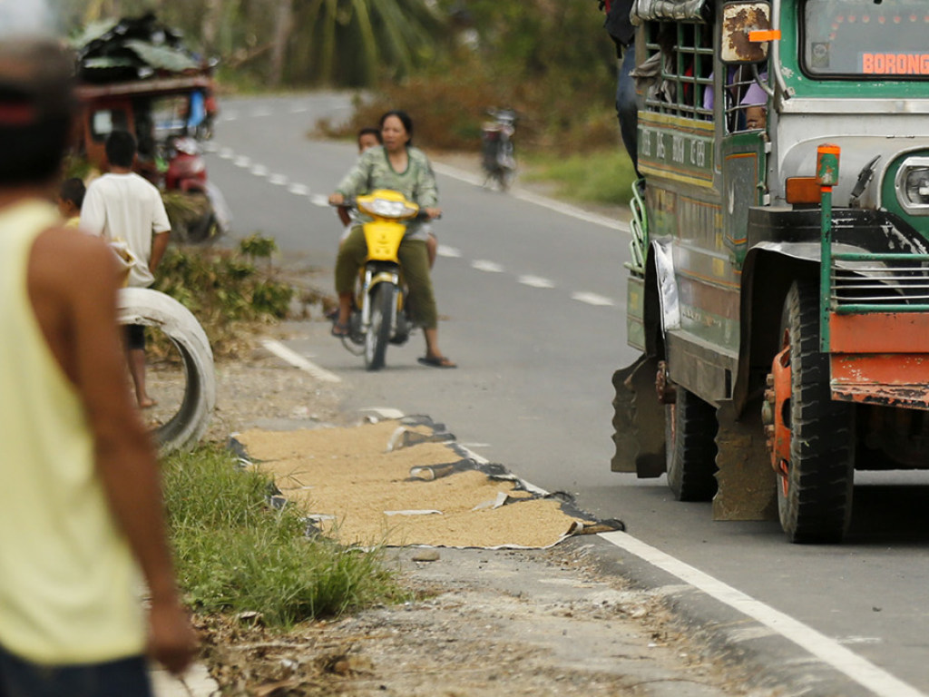 Мотоциклист из Филиппин приучил своих собак к езде на колесах (ВИДЕО)