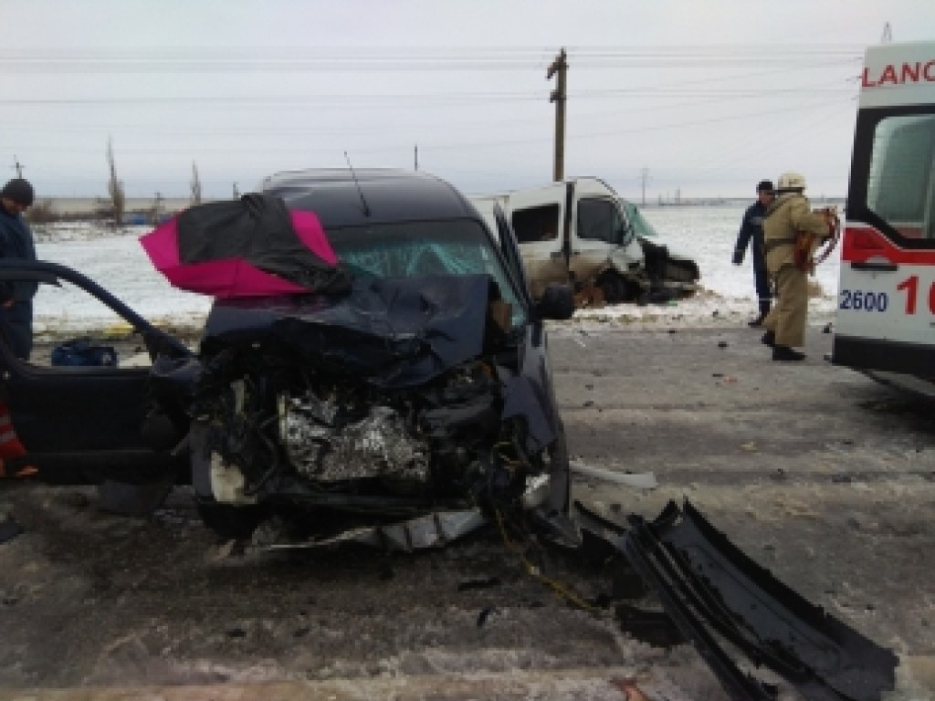 Пассажирку пришлось вырезать из авто: под Кирилловкой произошло лобовое ДТП (ФОТО)