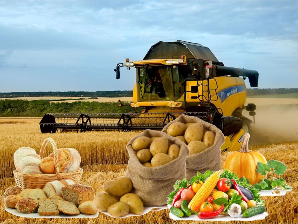 18 ноября &#8212; День работников сельского хозяйства Украины