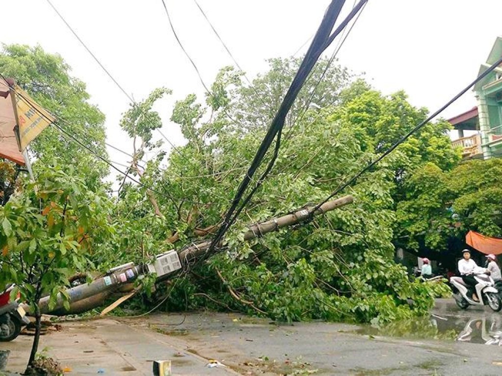 12 человек погибли во Вьетнаме из-за тропического шторма