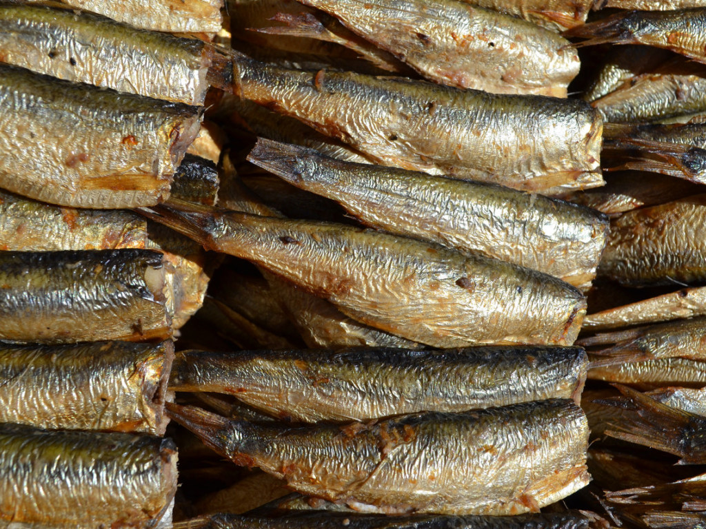 Осторожно, шпроты: В балтийской рыбе обнаружили «химический СПИД»