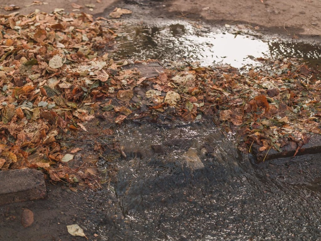 В Днепре у проспекта прорвало «зловонную» канализацию (ФОТО, ВИДЕО)