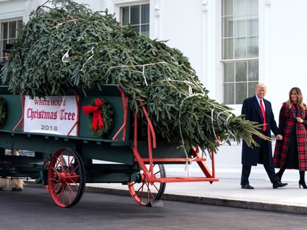 В Белый дом на лошадях привезли рождественскую ель (ФОТО)