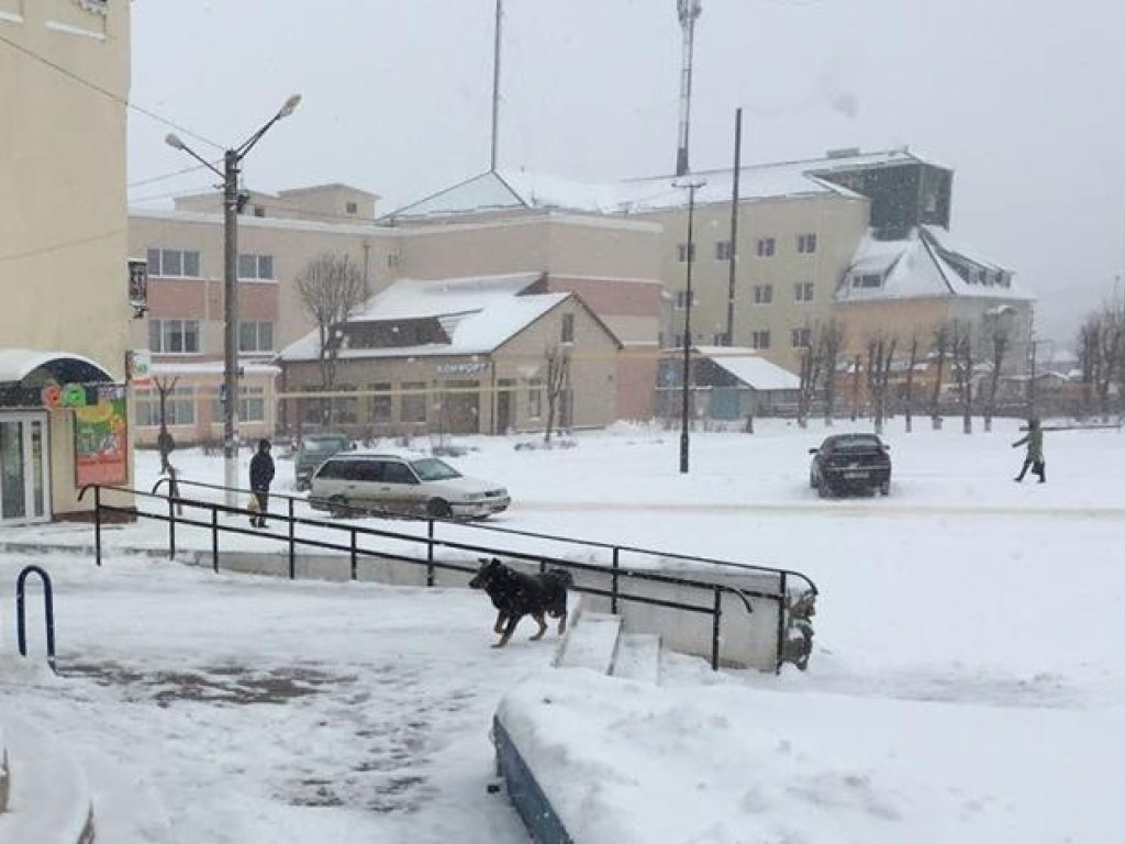 Ноябрьский снегопад: в Балте из-за отсутствия электричества закрыли школы
