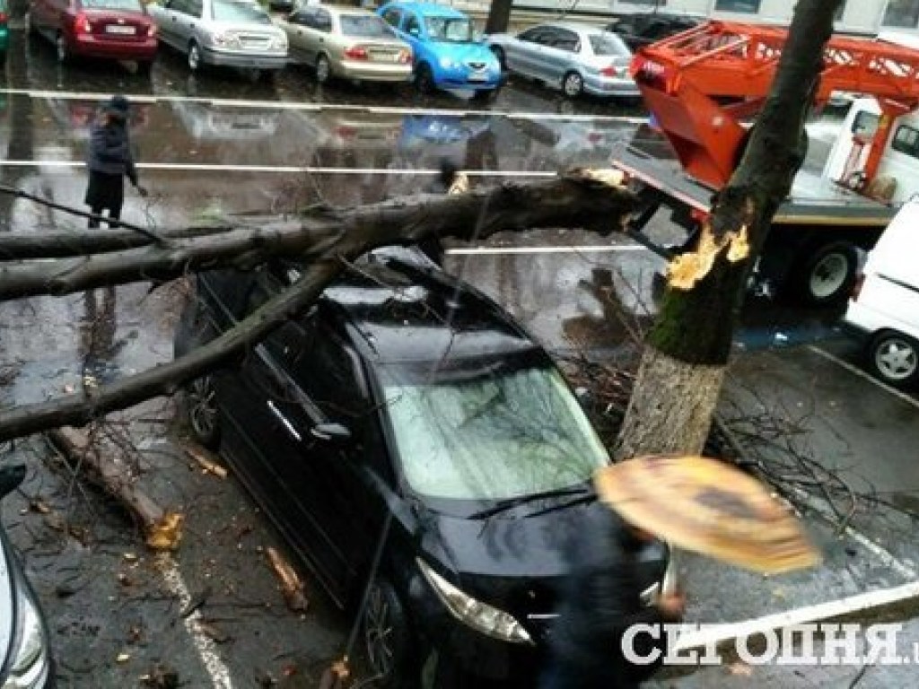 Непогода в Одессе: ветер валил деревья, а дождь затопил улицы (ФОТО)