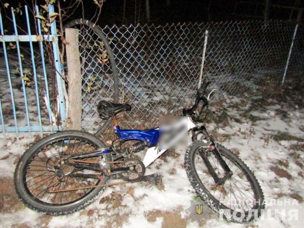 Под Киевом из-за велосипеда зверски избили старушку