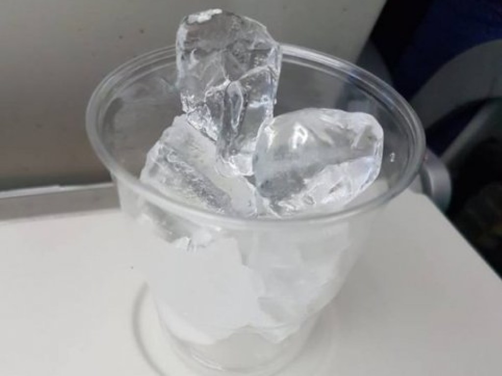 Стюардесса принесла пассажиру лед вместо воды (ФОТО)