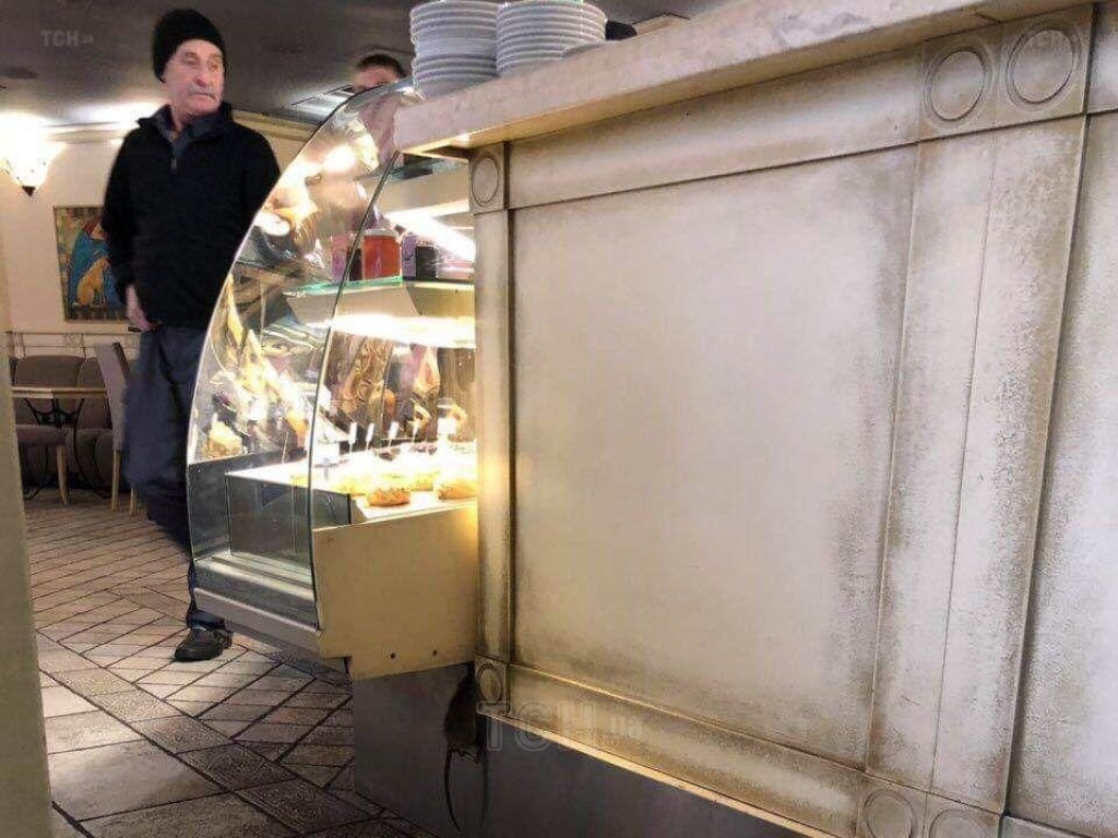 В киевской пекарне заявили о нашествии грызунов из бункера (ФОТО)