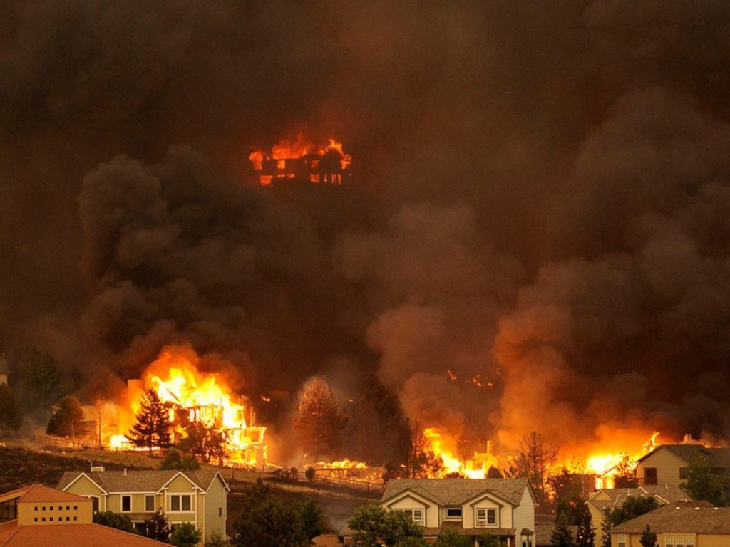 В США назвали причину лесных пожаров и ураганов