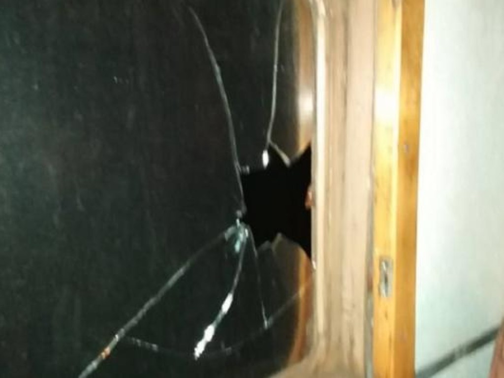 На Закарпатье в окно электрички бросили камень: осколками ранило пассажира (ФОТО)