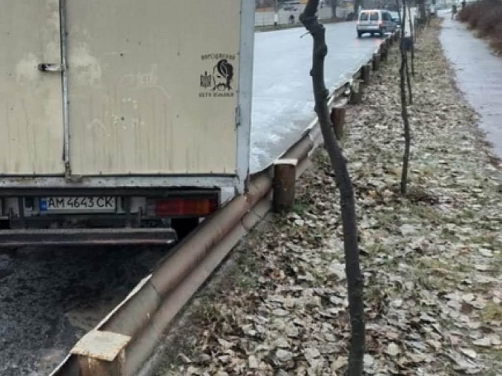 Сильный гололед вызвал транспортный коллапс в Житомире (ФОТО)