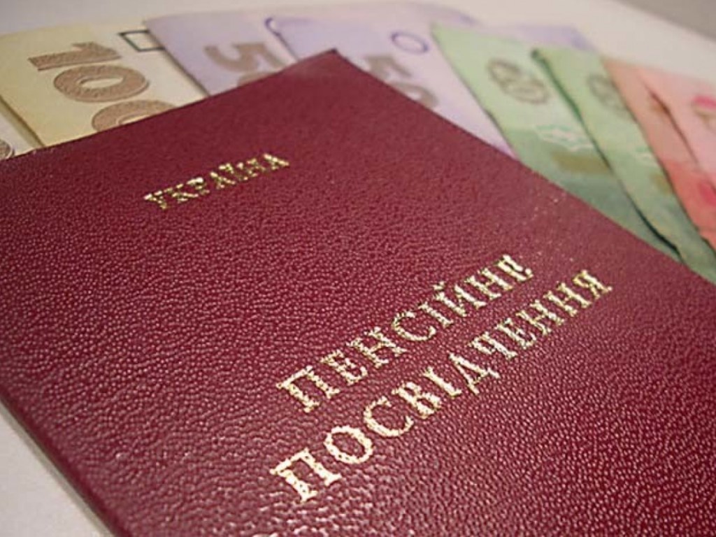 В. Степанюк: «Задержки пенсий происходят из-за неквалифицированной работы Кабмина»