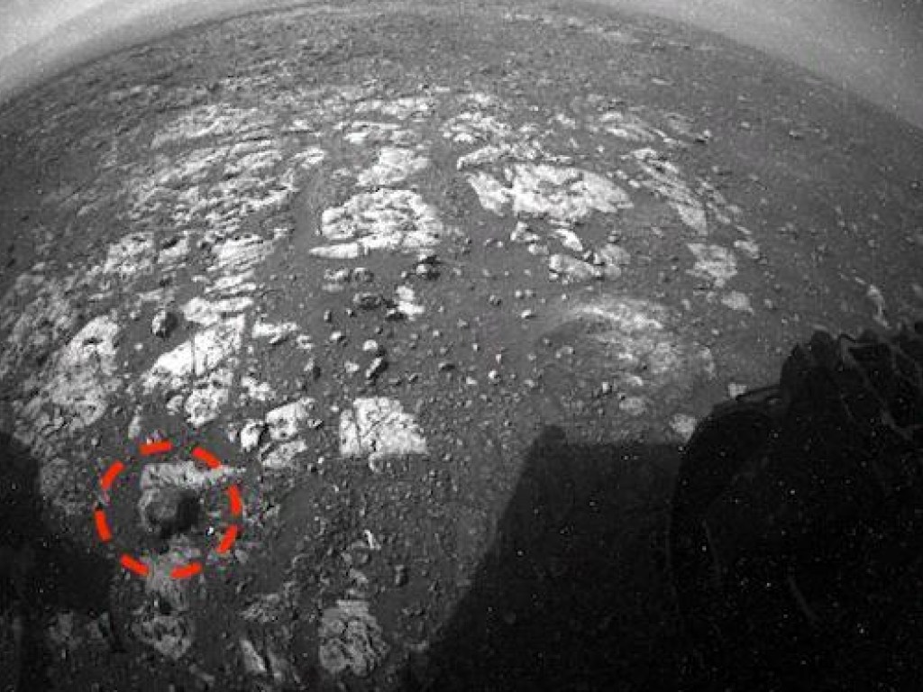 На поверхности Марса обнаружили улитку (ФОТО)