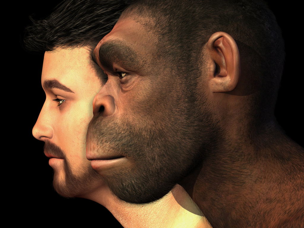 Любопытные ученые выяснили, что древние люди занимались сексом с неандертальцами
