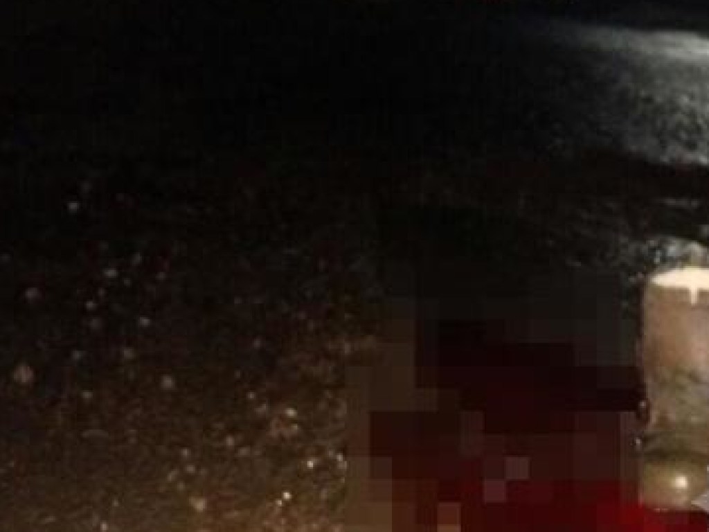 Двое детей попали под колеса автомобиля в Запорожской области