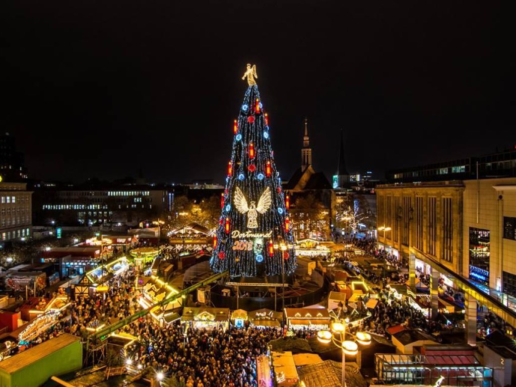 Высота 45 метров: в Дортмунде установили самую высокую рождественскую елку в мире (ФОТО, ВИДЕО)