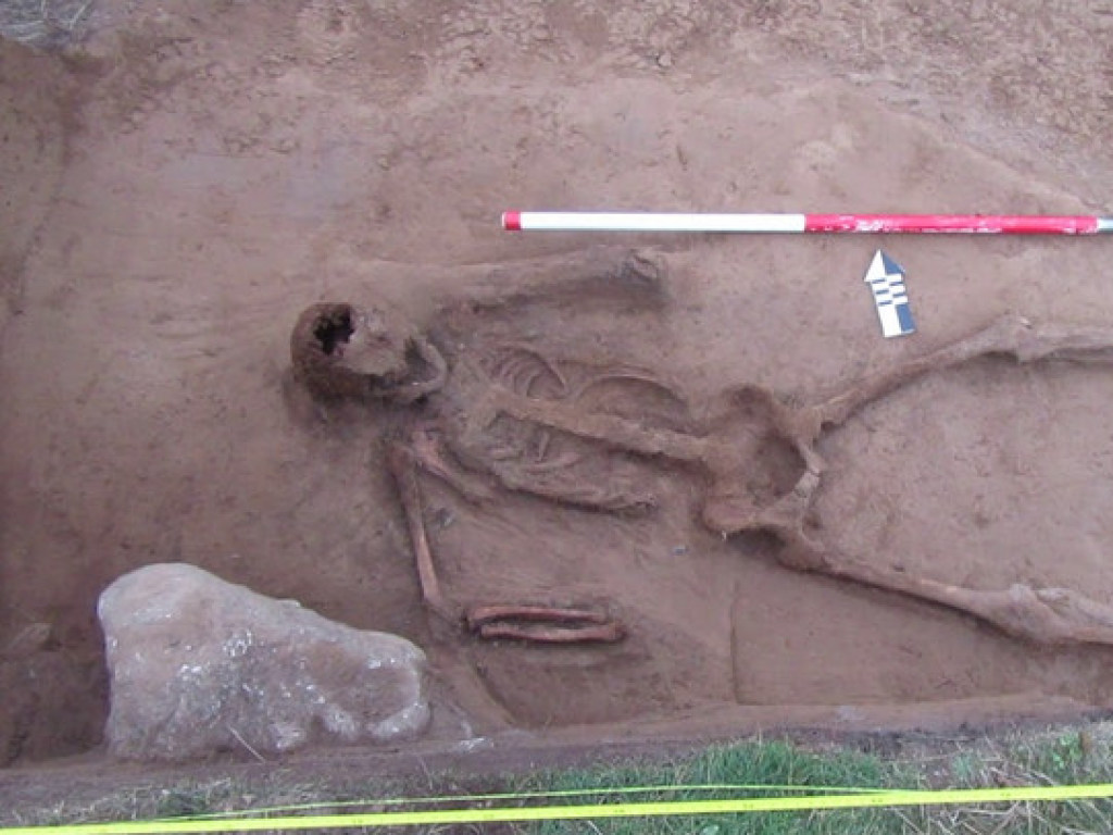 На острове в Ла-Манше археологи обнаружили средневековую могилу морской свиньи (ФОТО, ВИДЕО)