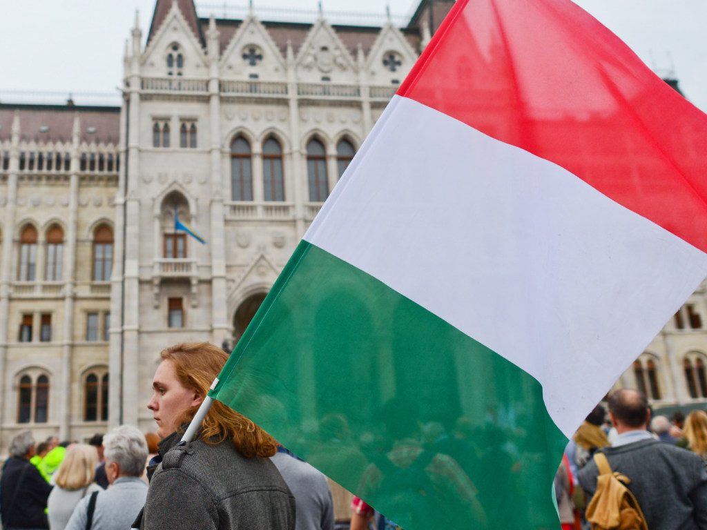 В. Воля: «В Венгрии ожидают результатов выборов в Украине»
