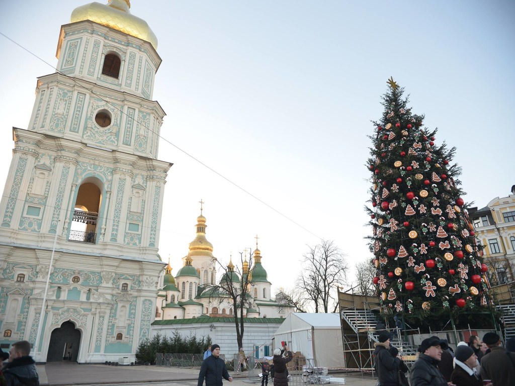 В Киеве установят елку за три миллиона гривен &#8212; СМИ