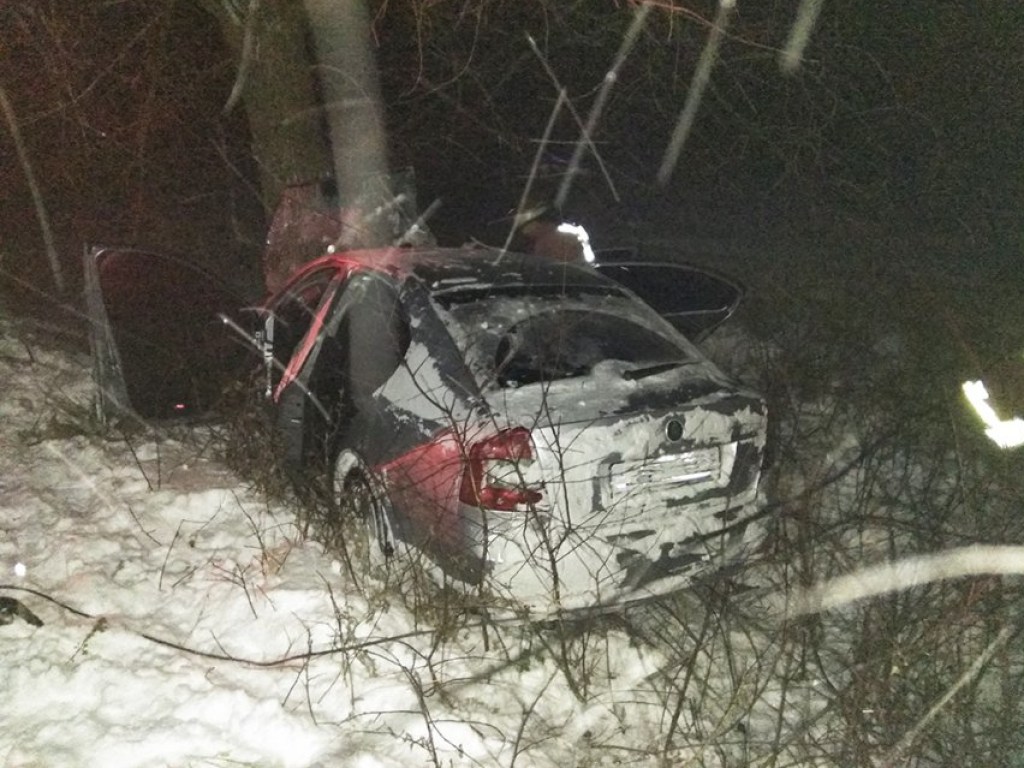 В Николаевской области подросток за рулем иномарки слетел в кювет, пострадали три человека (ФОТО)