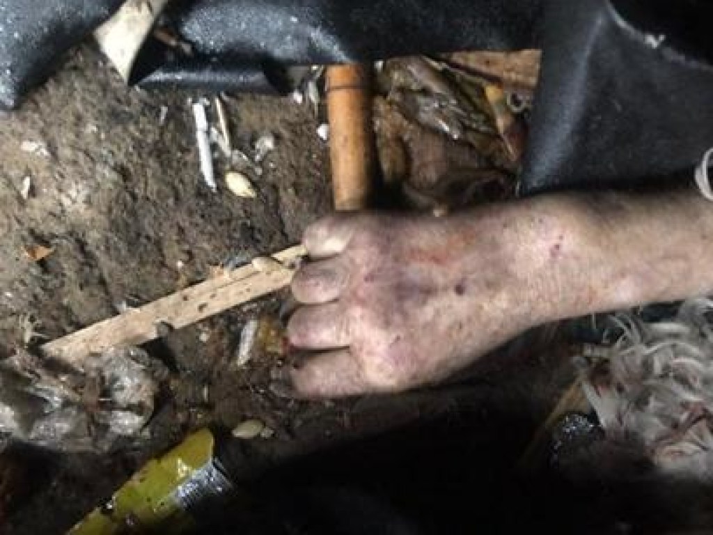 Неизвестные забили до смерти бездомного в Кривом Роге (ФОТО)
