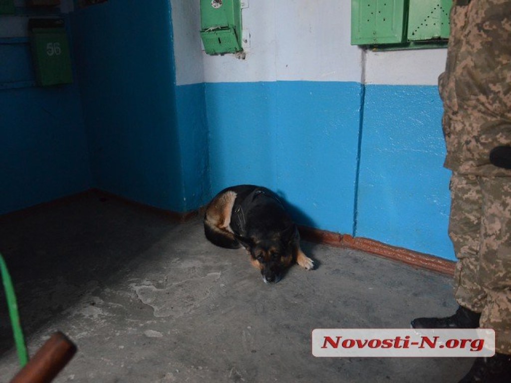 В Николаеве на чердаке многоэтажки лежал труп: полиция подозревает убийство (ФОТО)