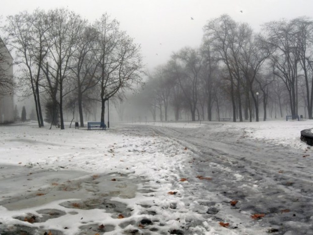 Погода на завтра: на Украину надвигается оттепель с туманами, гололедицей и мокрым снегом