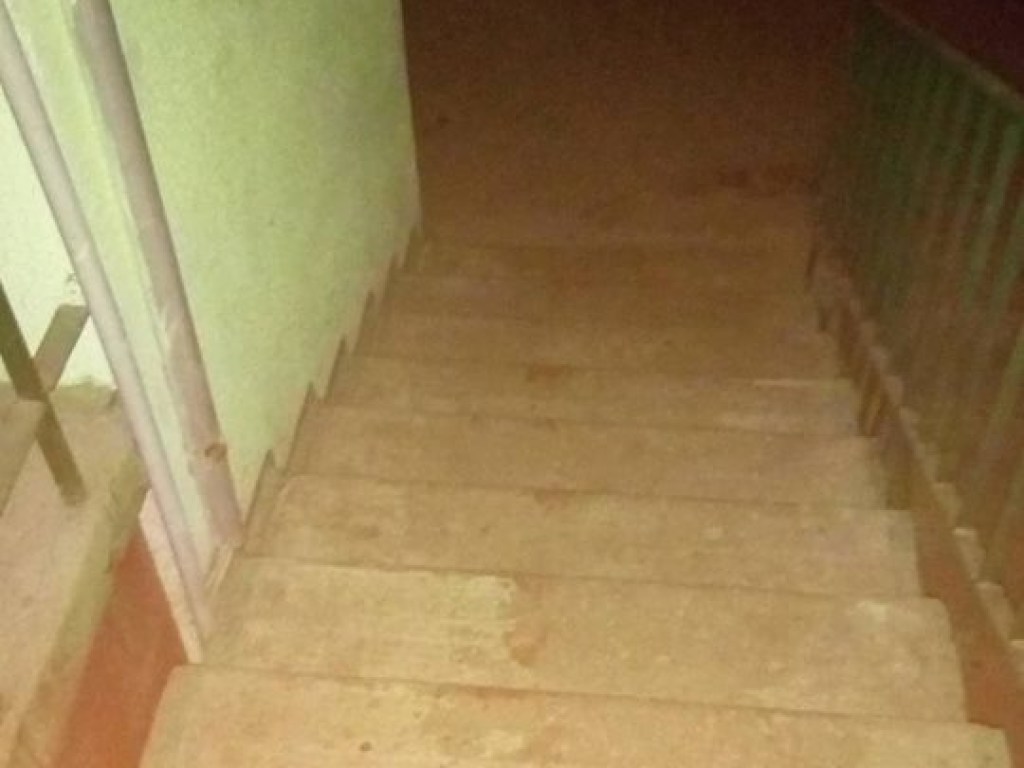 Кровь размазана по подъезду: На столичной Борщаговке живодеры в квартире измучили собак до смерти (ФОТО)