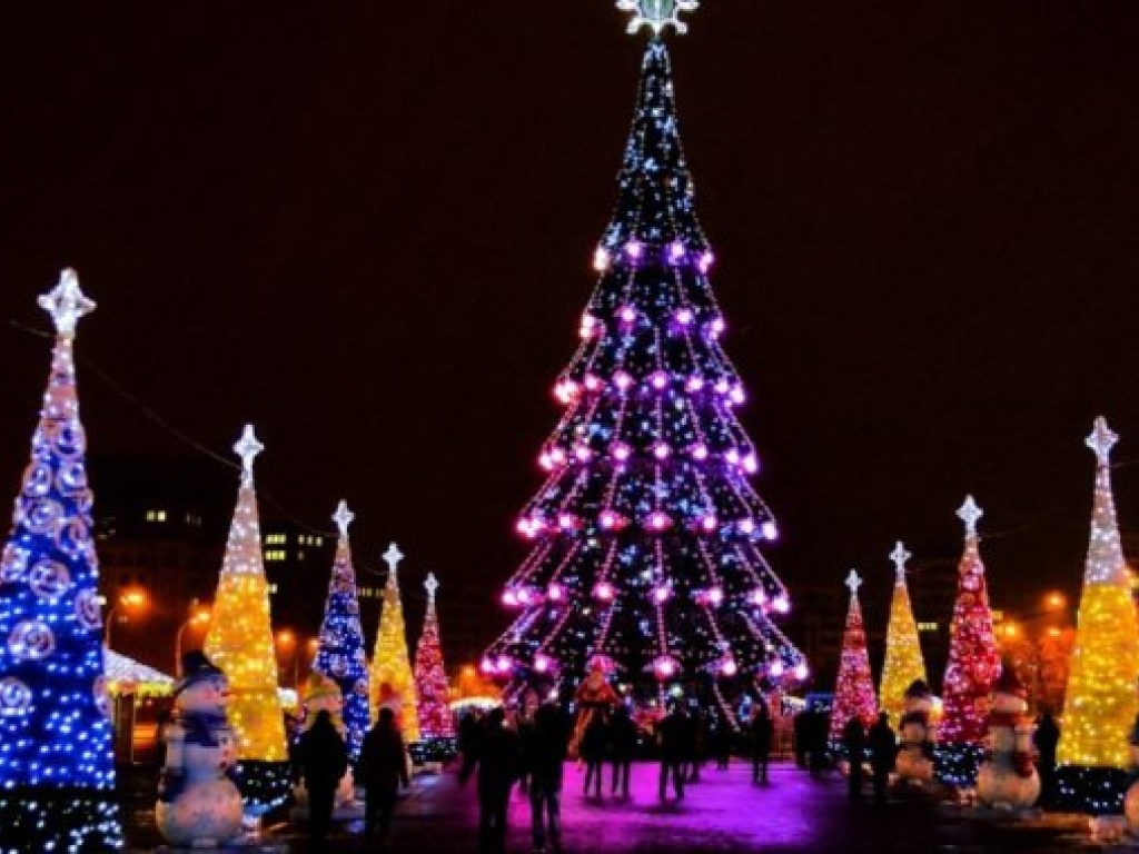 Впечатляющее зрелище: В Харькове установили главную елку города (ВИДЕО)