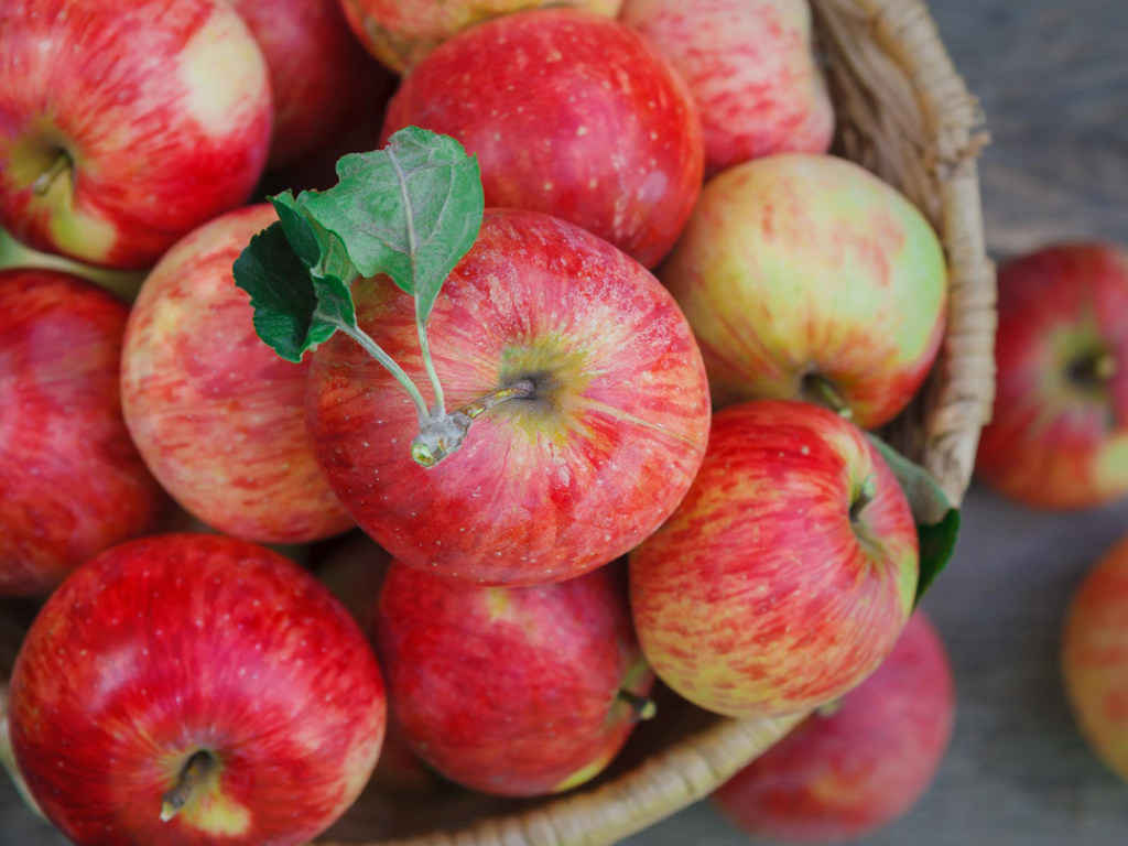 В зимнее время яблоки помогут сохранить фигуру и повысить сопротивляемость вирусам &#8212; врач