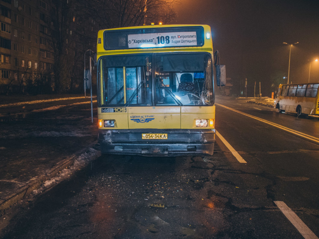 В Киеве на Березняках автобус влетел в маршрутку: пострадали пассажиры (ФОТО, ВИДЕО)