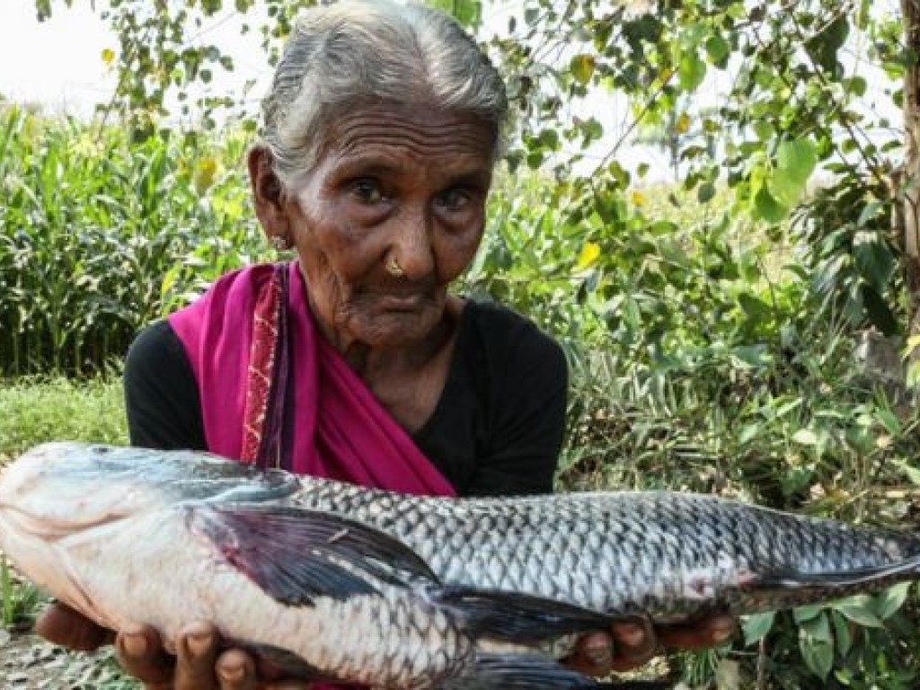 В Индии в возрасте 107 лет скончалась старейшая видеоблогерша в мире (ВИДЕО)