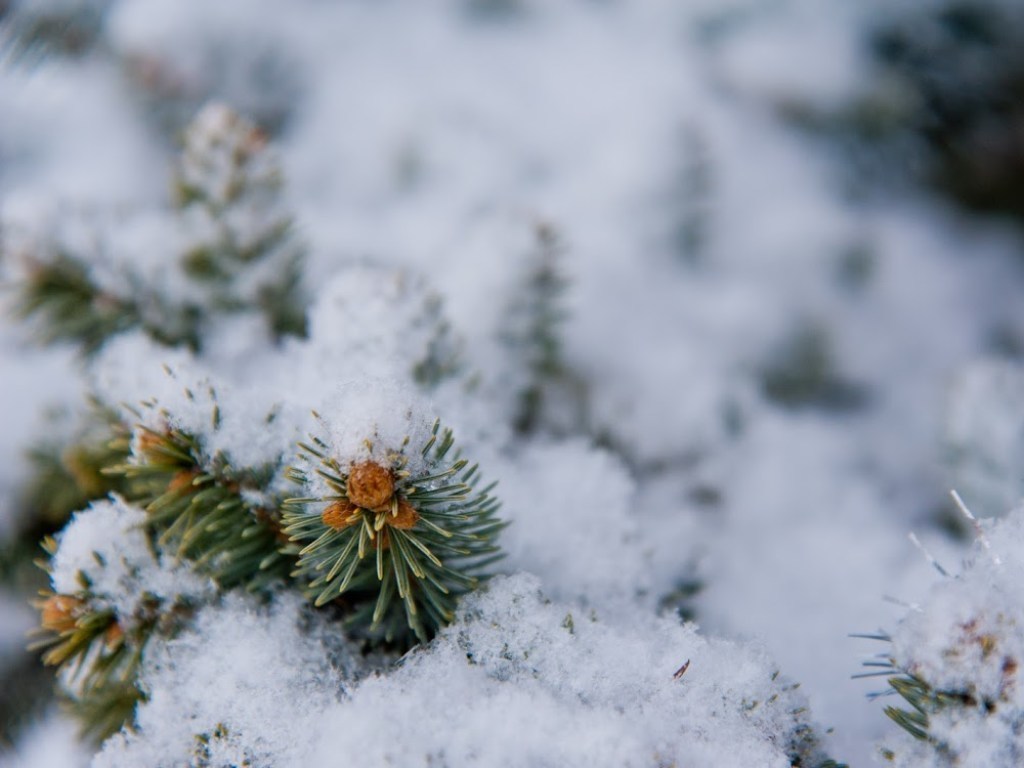 Погода на 11 декабря: на востоке и юге Украины ожидается снег с дождем