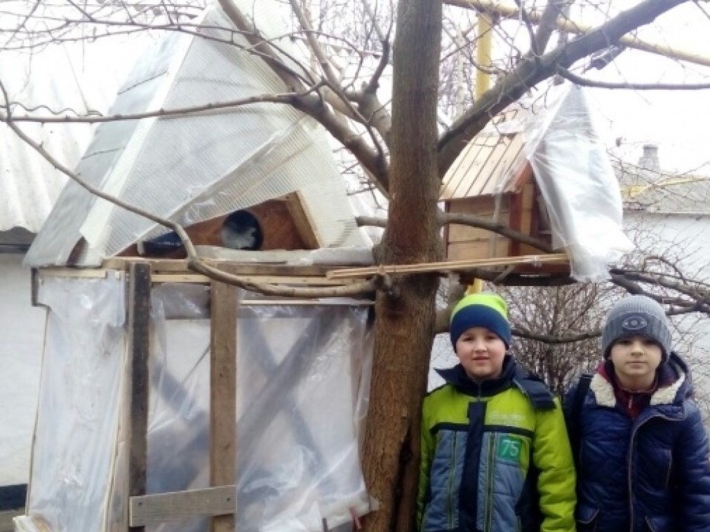 В Запорожской области построили общежитие для бездомных котов 