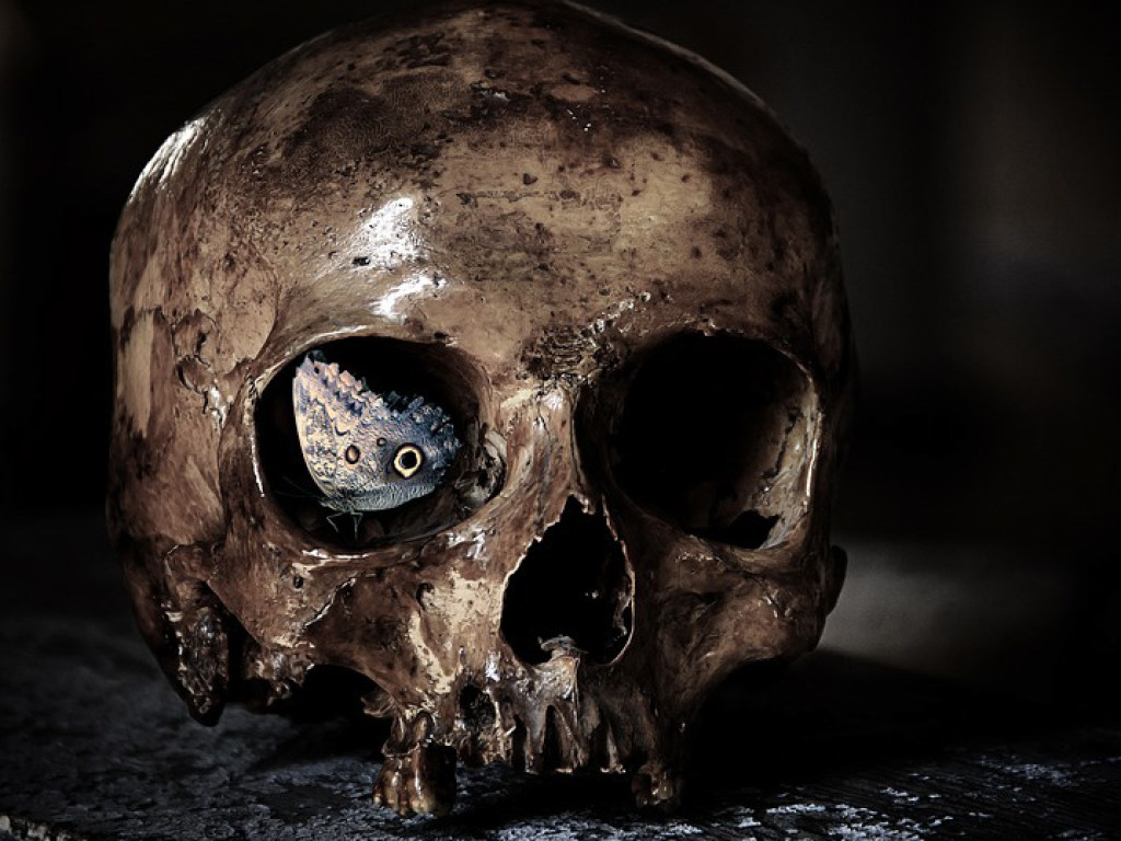 В Англии обнаружили могилу вампира