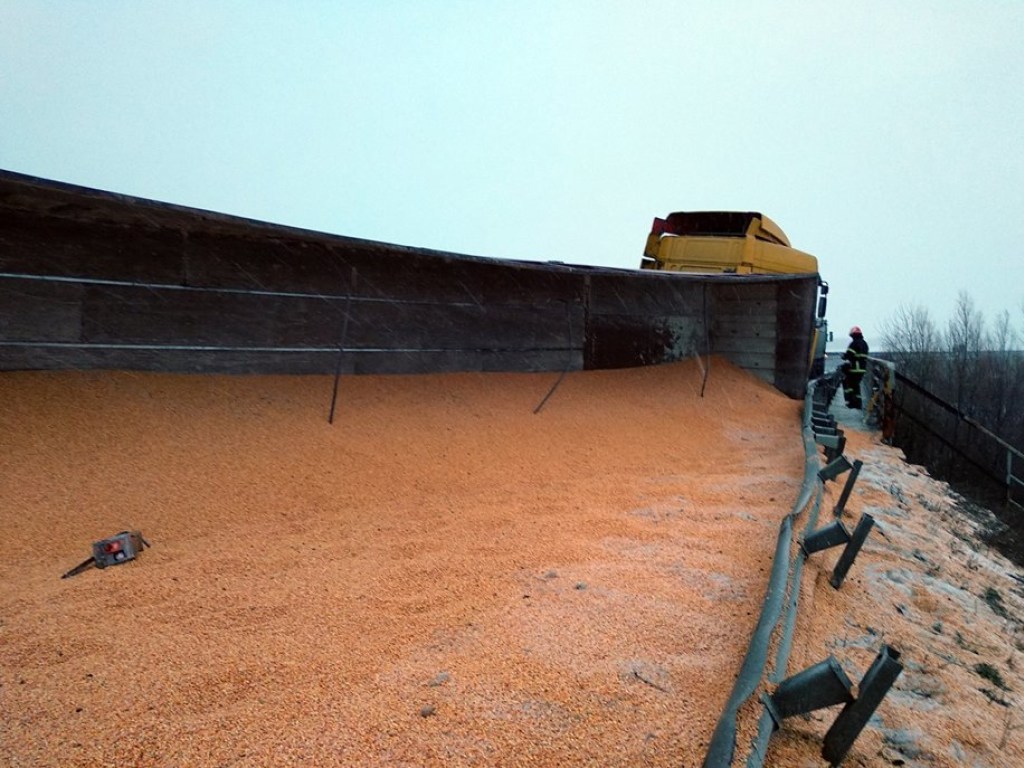 На трассе Киев-Одесса из фуры высыпалось 40 тонн зерна (ФОТО)